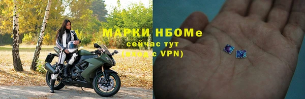 шишки Арсеньев